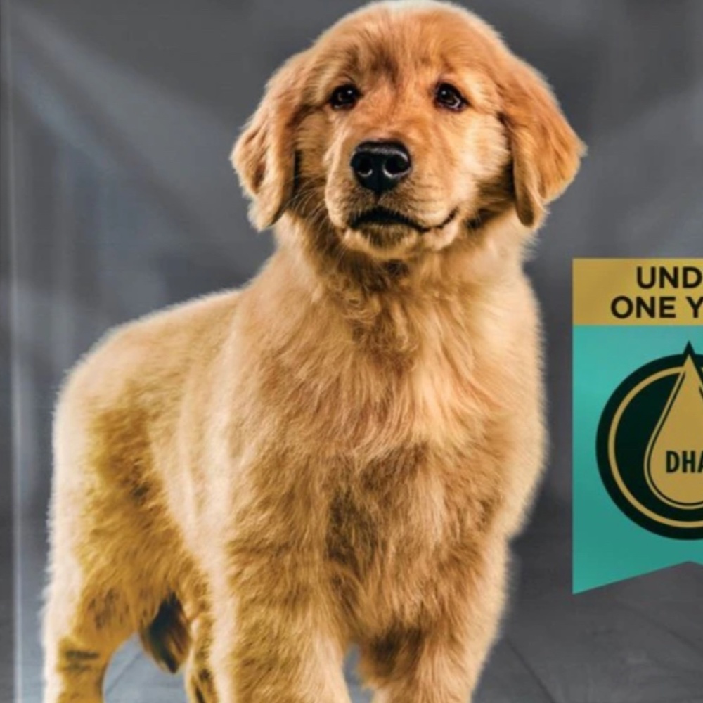 Meet your Posher, Austria